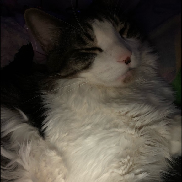 Meet your Posher, - Picture 1 of 1